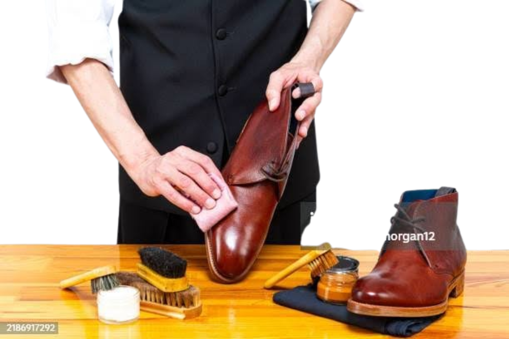 Shoe Polish & Cleaning