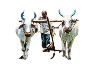 Agriculture Services