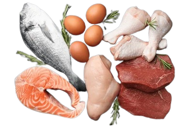Premium Chicken , Mutton , Fish
