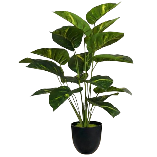 Artificial Indoor Plants