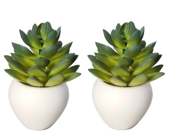 Artificial Succulents & Cactus