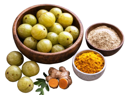 Ayurvedic Herbs
