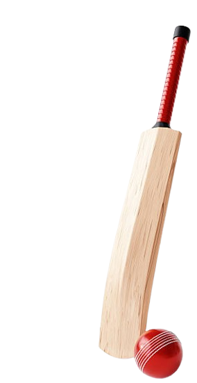 Bat & Ball Set