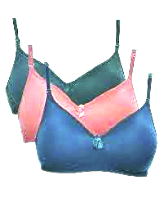 Women's Undergarments