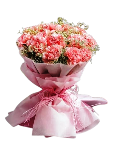 Carnation Bouquets