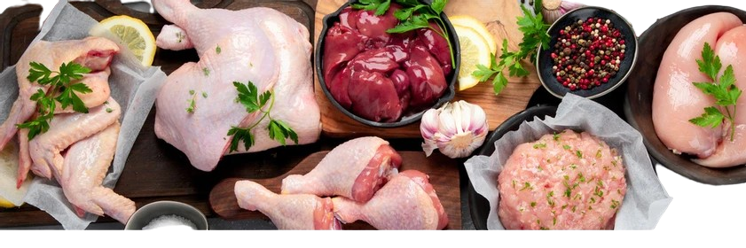 chichen parts