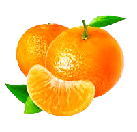 Citrus Fruits