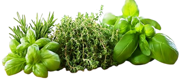 Cooking Herbs