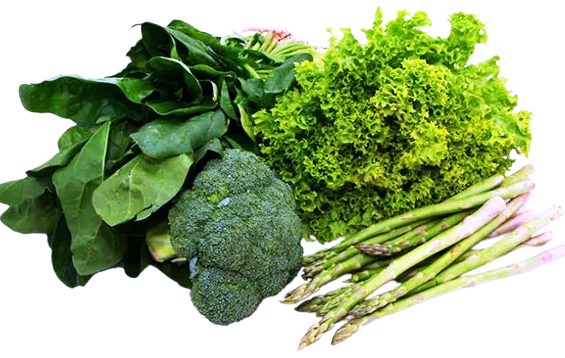 Daily Fresh Greens