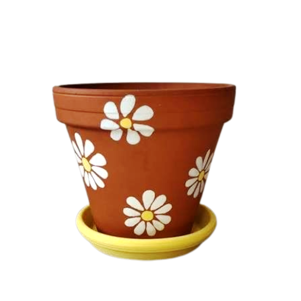 Decorative Plant Pots