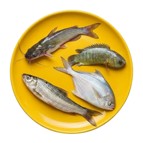 deshi fish