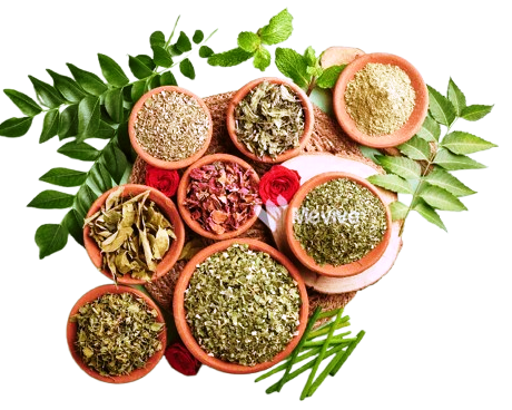 Dry Herbs
