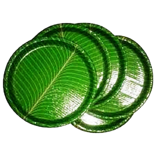 Eco Disposable Tableware