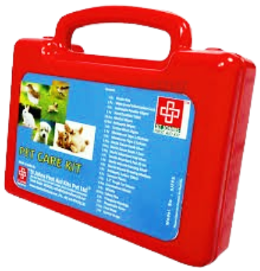 First Aid Pet Care