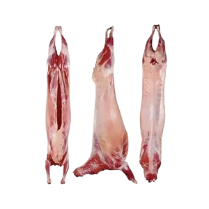 Fresh Halal goat meat