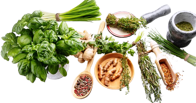 Fresh Herbs