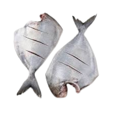 Frozen Fish
