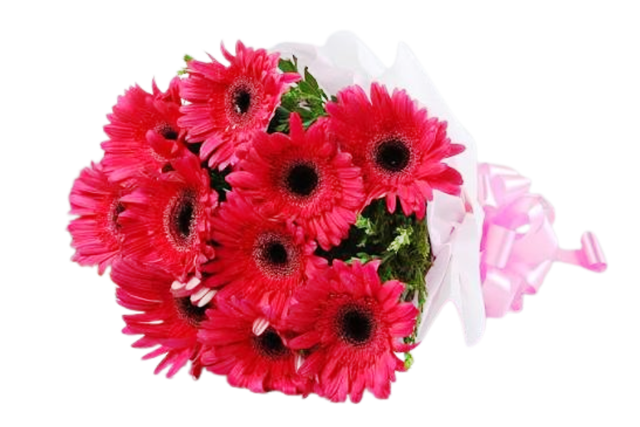 Gerbera Bouquets