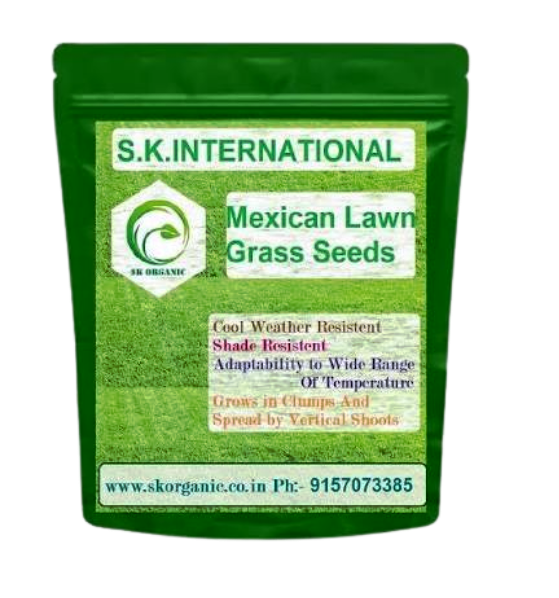 Grass Seeds