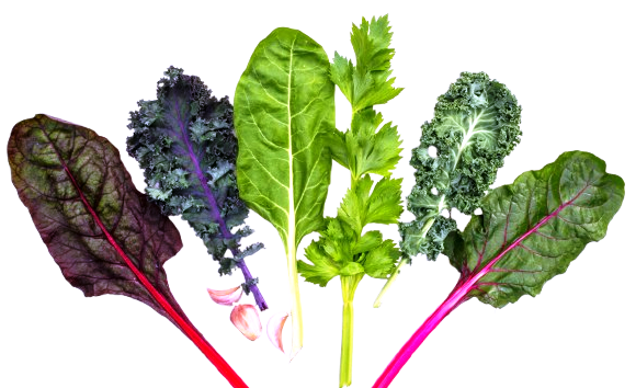 Healthy Greens