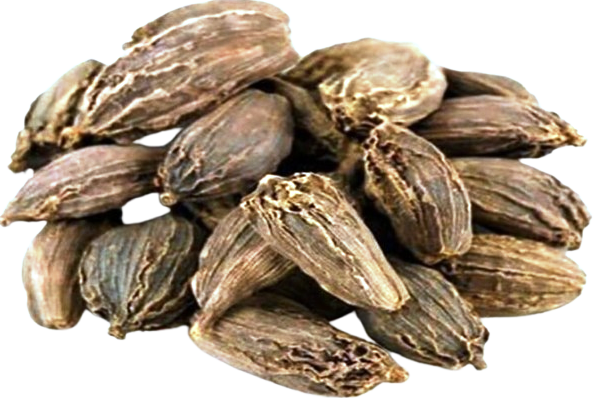 Indian Traditional Spices