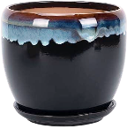 Indoor Plant Pots