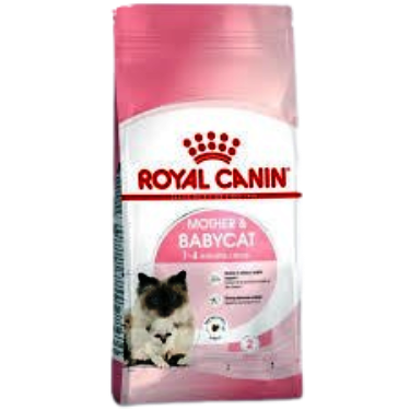 Kitten Food