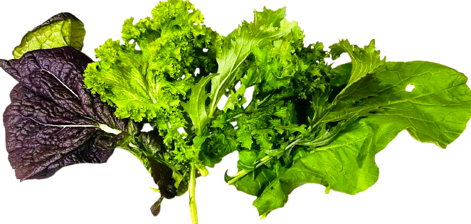 Leafy Seasonings