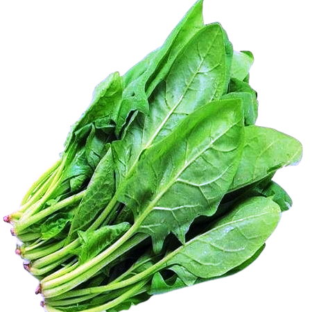 Leafy Vegetables