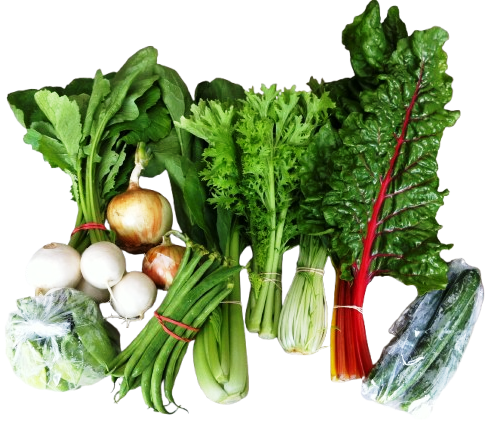 Organic Farm Fresh