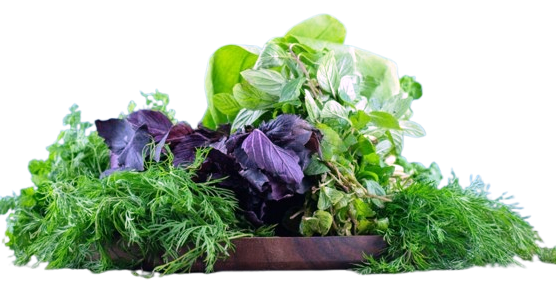 Organic Leafy