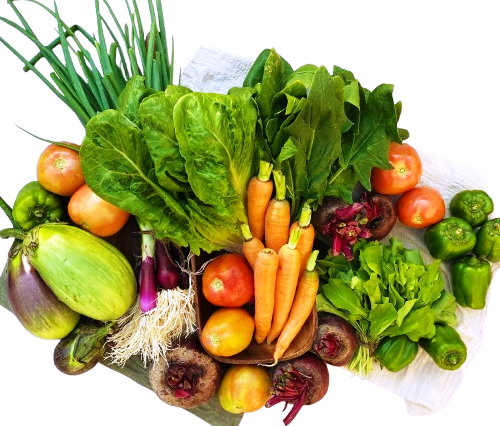 Organic Vegetables