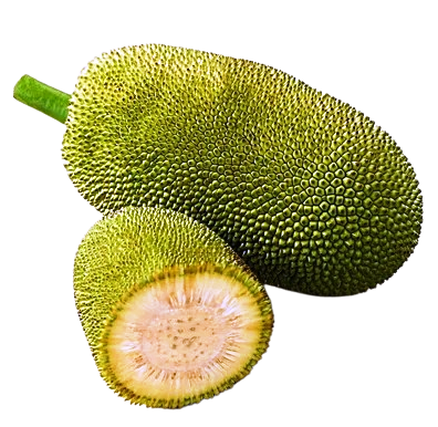 Peeled Jackfruit Pieces