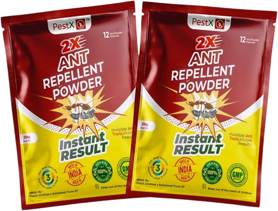 Pest Control Solutions
