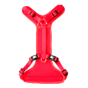 Pet Travel Harnesses
