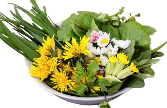 Pooja Herbs