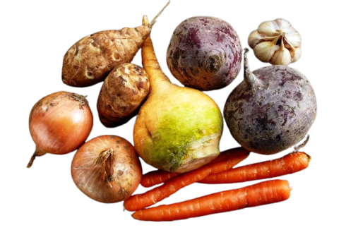 Regular Root