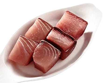 Salt water Fish