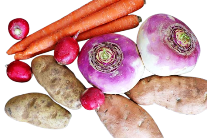 Seasonal Root Vegetables
