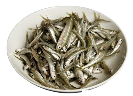 Small Fish