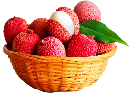 Summer Fruits