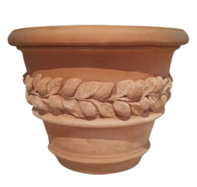 Terracotta Plant Pots