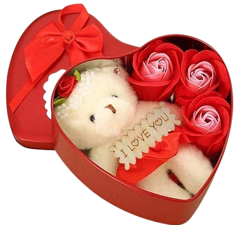 Toyes Gift