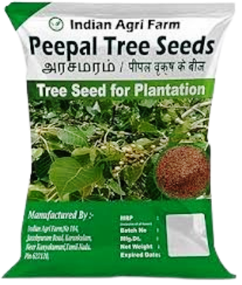 Tree Seeds