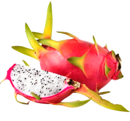 Winter Fruits
