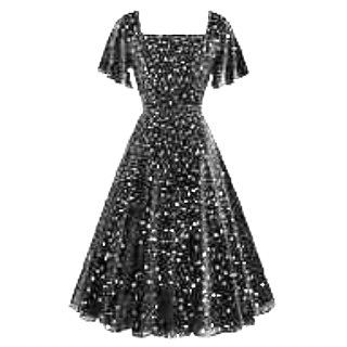 Women’s Fashion wear